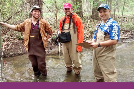 Water Quality Volunteers