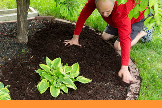 Mulch Tip