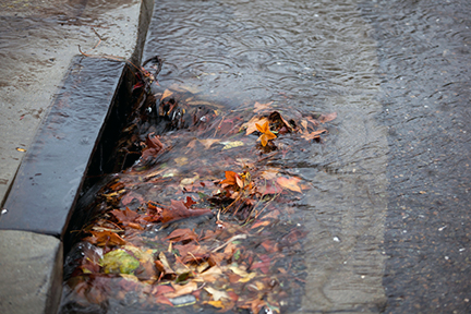 storm drain with leaves